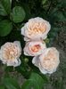 20150605_155021