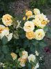 20150606_182439