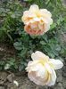 20150606_182928
