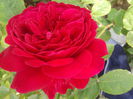 20150527_120952