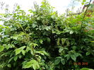 DSC05380