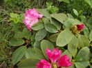 DSCN0820[1]