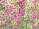 DSCN0900[1]