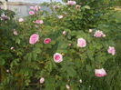 DSCN0886[1]