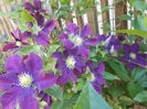 DSCN0922[1]
