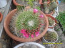 SAM_0001