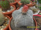 SAM_0002