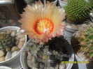 SAM_0038