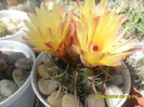 SAM_0039