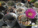 SAM_0040