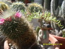 SAM_0043