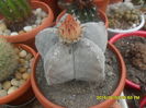 SAM_9966