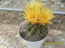 SAM_9995