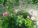 SAM_9916