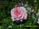 SAM_9920