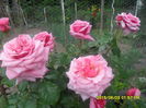 SAM_9953