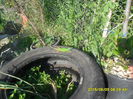 SAM_9958