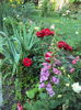DSC08671
