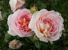 Abraham Darby