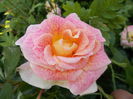 DSCN4718