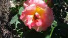 20150607_151848
