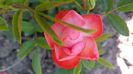 20150607_151736