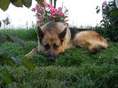Picture 3193