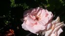 20150607_151531
