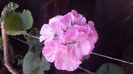 20150607_151401