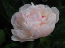 DSCN7437