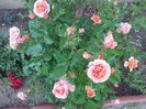 20150607_200208