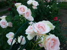 20150606_185850(0)