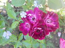 DSCN7917