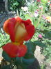 DSCN7946