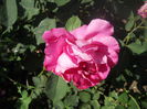 DSCN7961