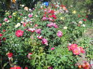 DSCN7976