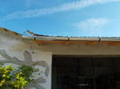 DSCN0485