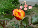 DSC08688