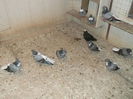 Picture 6010