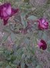 20150606_211142