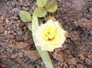 P1240634