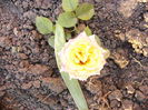 P1240635