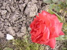 P1240659