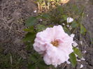P1240661