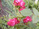 P1240675