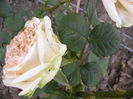 P1240688