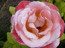 P1240702