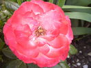 P1240709