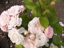 P1240723