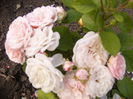 P1240724